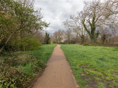Picture 25